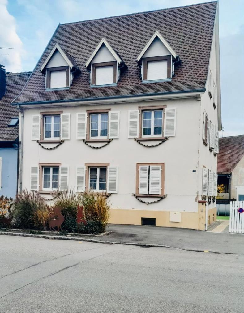 L'Envolee Alsacienne - Magnifique Appartement En Duplex Ostheim Eksteriør bilde
